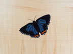 Butterfly Inlay For Beds - Add A Butterfly To Your Bed