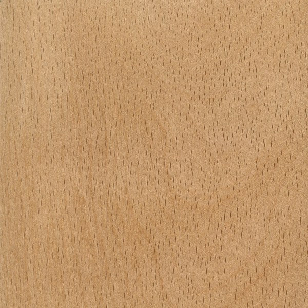 Beech