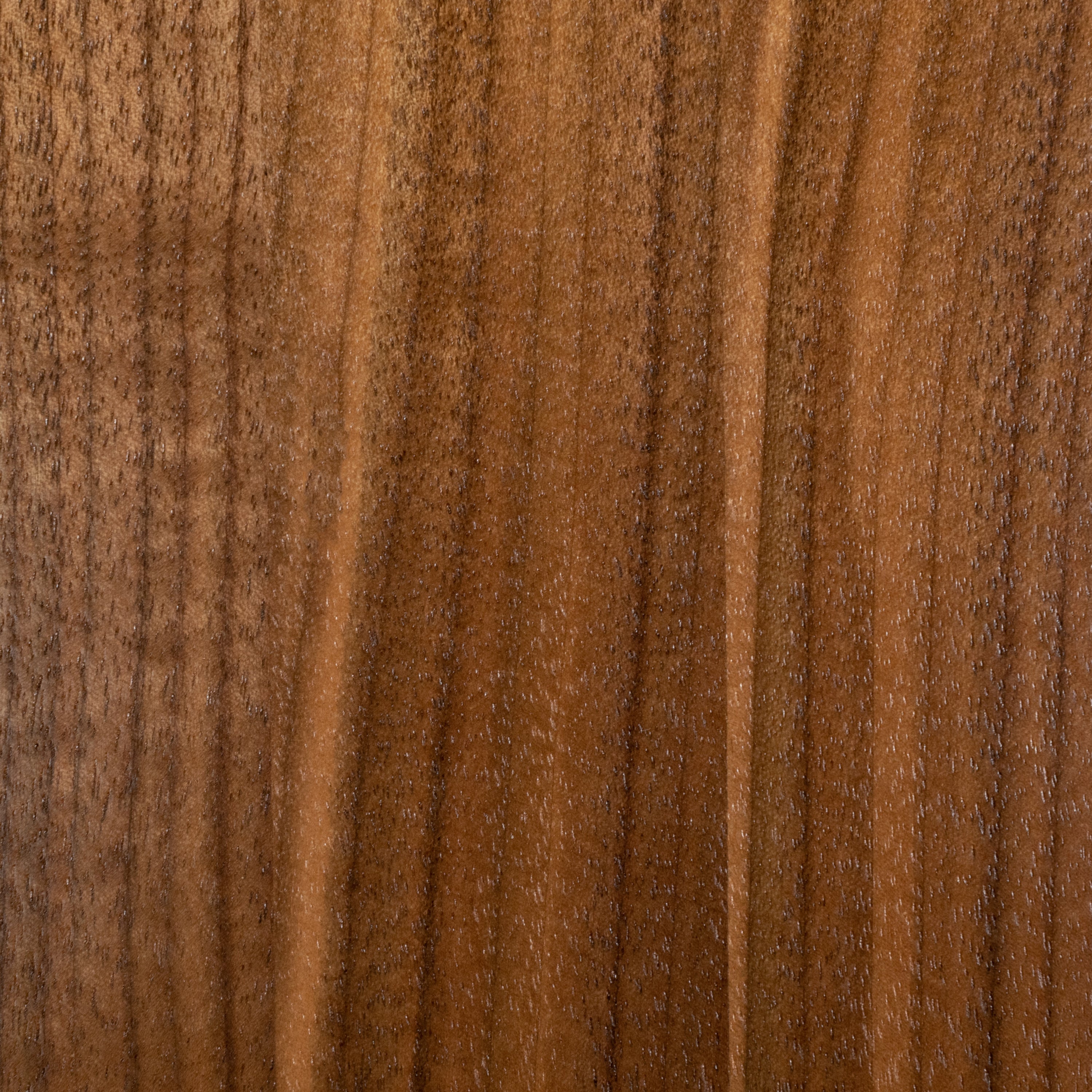 Gazelle Dining Chair
