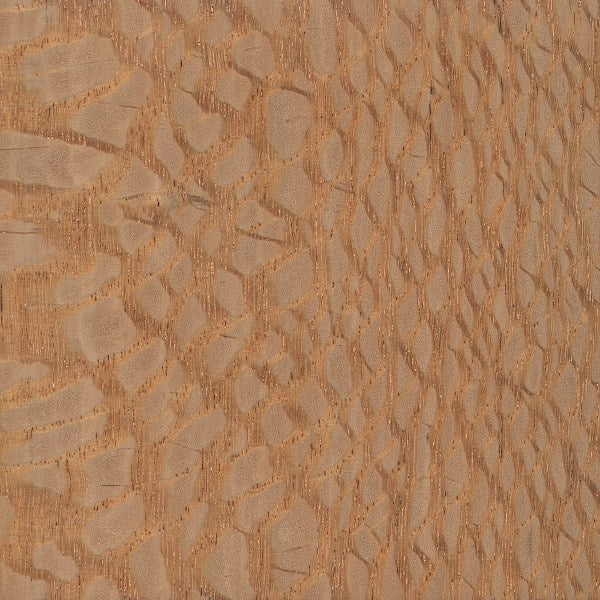 Lacewood (veneer only)
