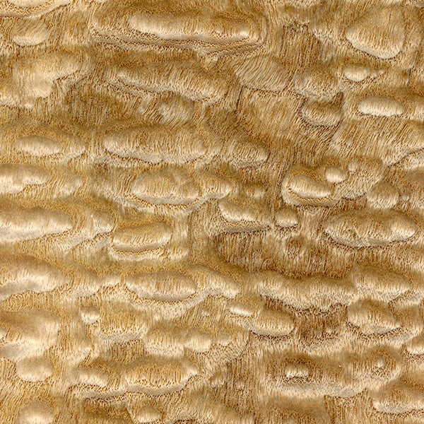 Tamo Ash (veneer only)